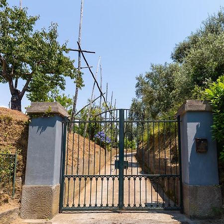 Villa Ada Sorrento Luaran gambar