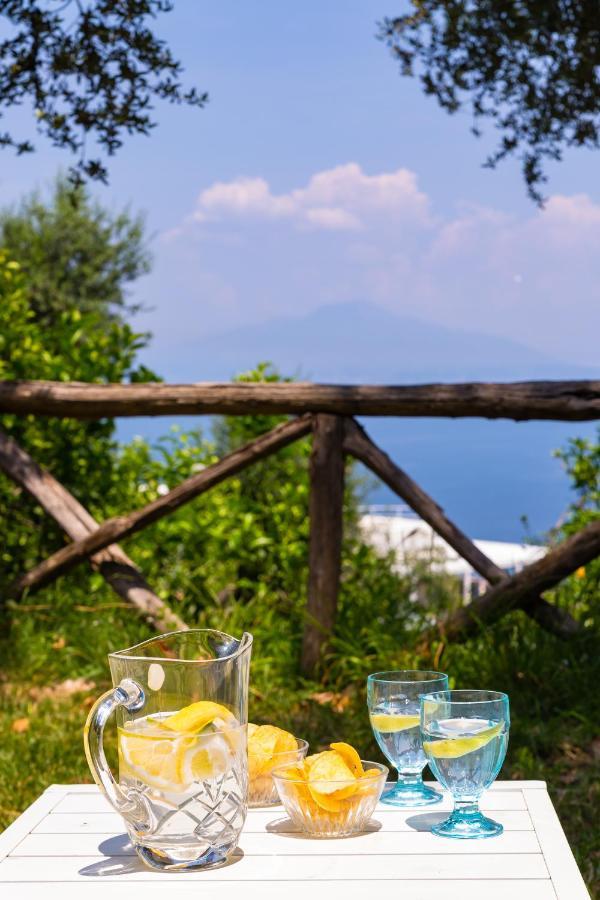 Villa Ada Sorrento Luaran gambar
