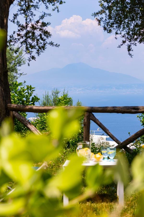 Villa Ada Sorrento Luaran gambar
