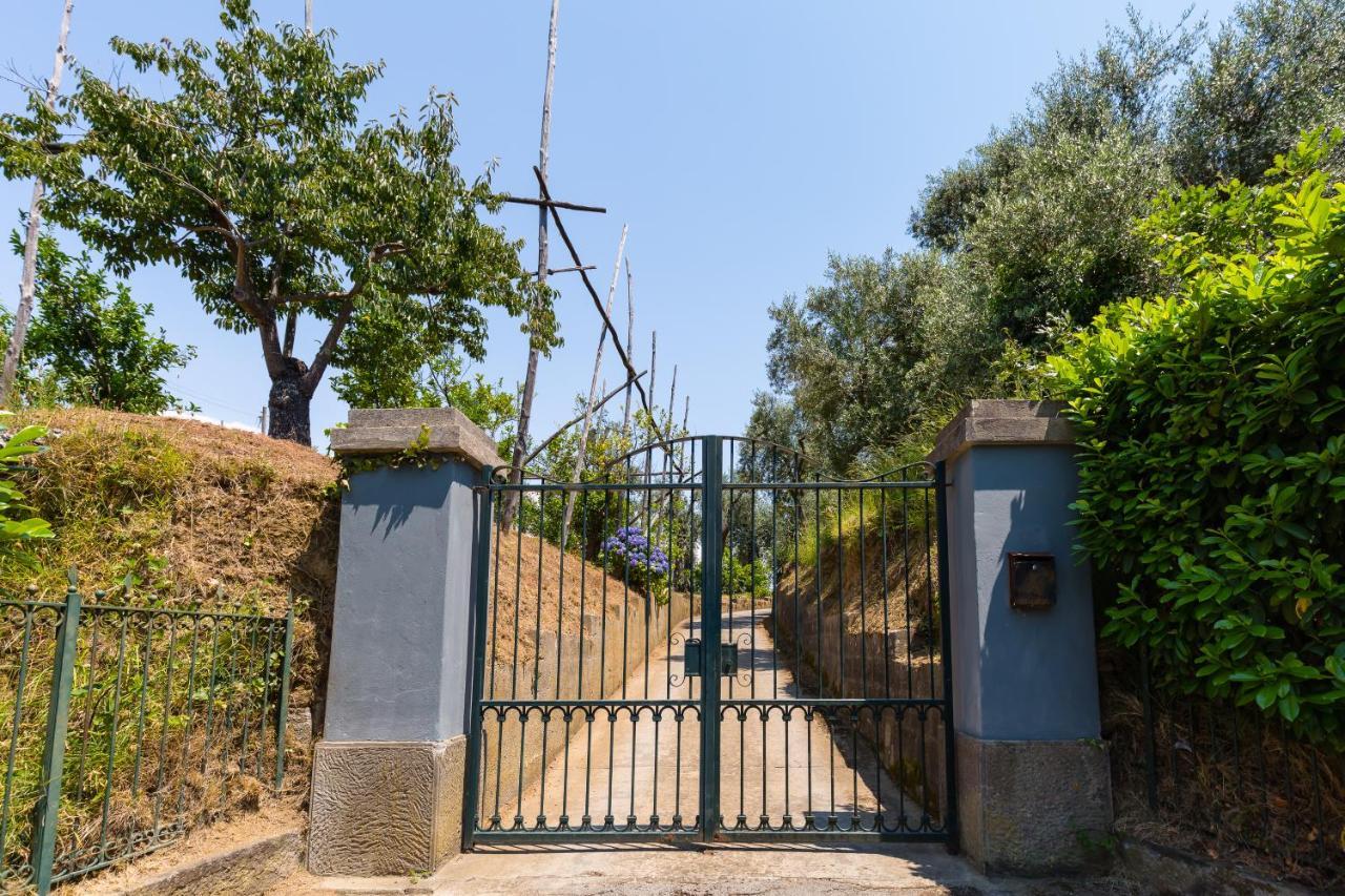 Villa Ada Sorrento Luaran gambar